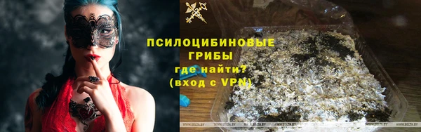 ПСИЛОЦИБИНОВЫЕ ГРИБЫ Михайловка