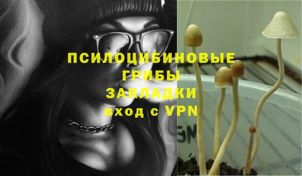 спайс Надым