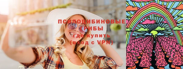ПСИЛОЦИБИНОВЫЕ ГРИБЫ Михайловка