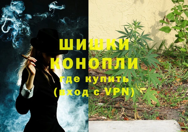 стаф Навашино