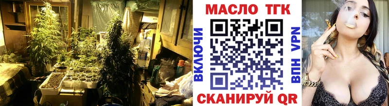 Купить где  Кимры  ТГК гашишное масло 