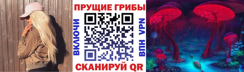 Купить где  Кимры  Псилоцибиновые грибы Magic Shrooms 